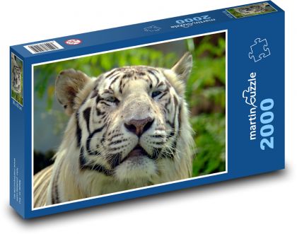 Bengálsky tiger - Puzzle 2000 dielikov, rozmer 90x60 cm 