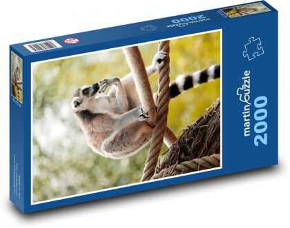Lemur - Puzzle 2000 dielikov, rozmer 90x60 cm 