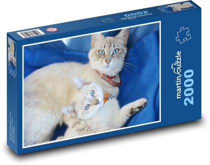 Mačiatko s matkou - Puzzle 2000 dielikov, rozmer 90x60 cm 
