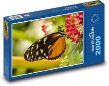 Butterfly Puzzle 2000 pieces - 90 x 60 cm