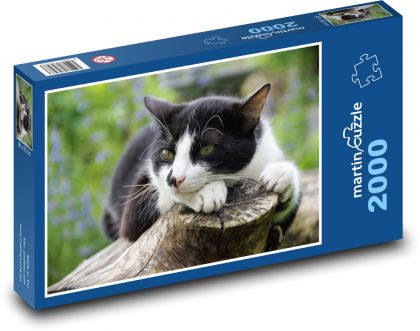 Black and white cat - Puzzle 2000 pieces, size 90x60 cm 