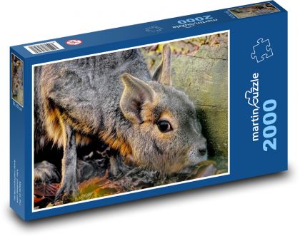 Steppe mara - hlodavec - Puzzle 2000 dielikov, rozmer 90x60 cm 