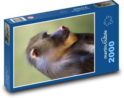 Opica - Puzzle 2000 dielikov, rozmer 90x60 cm 