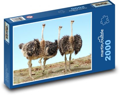 Strauß - Vogel - Puzzle - 2000 Teile