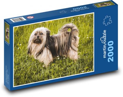 Pes - Bolognese - Puzzle 2000 dielikov, rozmer 90x60 cm 