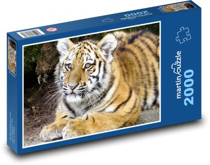 Tiger - Junges - Puzzle - 2000 Teile