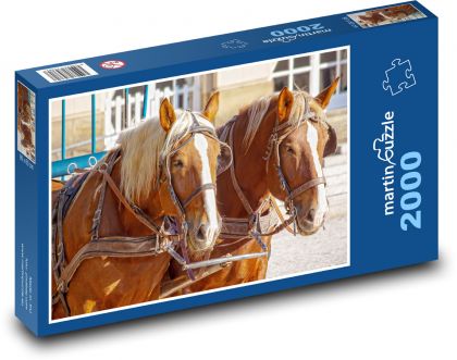 Kůň - puzzle 2000 dílků
