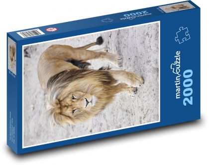 Löwe - Puzzle - 2000 Teile