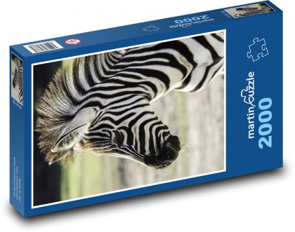 Zebra - Puzzle 2000 dielikov, rozmer 90x60 cm 