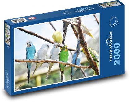 Parrots - birds - Puzzle 2000 pieces, size 90x60 cm 