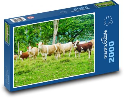 Kravy - stádo - Puzzle 2000 dielikov, rozmer 90x60 cm 