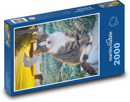Kot - Puzzle 2000 elementów, rozmiar 90x60 cm
