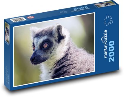 Lemur - Puzzle 2000 pieces, size 90x60 cm 