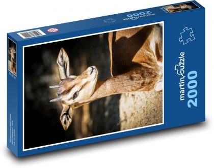 Gazela - Puzzle 2000 dielikov, rozmer 90x60 cm 