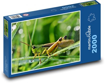 Insekten - Heuschrecken - Puzzle - 2000 Teile