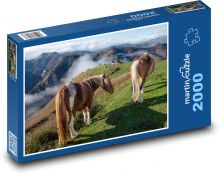 Kůň - louka Puzzle 2000 - 90x60 cm