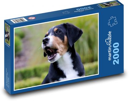 Hund - Freund - Puzzle - 2000 Teile