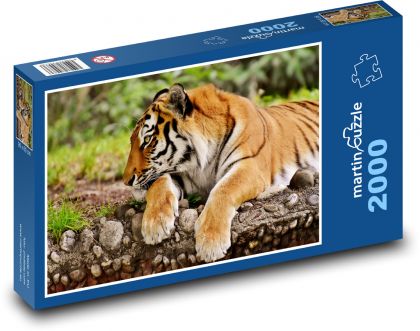 Tiger je veľká mačka - Puzzle 2000 dielikov, rozmer 90x60 cm 