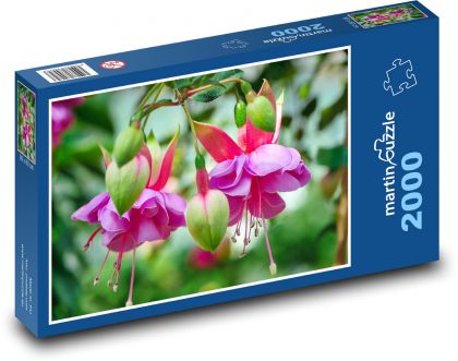 Fuchsia - kvety - Puzzle 2000 dielikov, rozmer 90x60 cm 