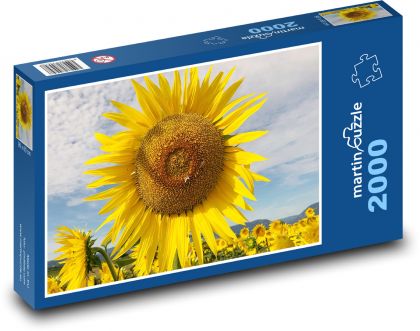 Slunečnice - puzzle 2000 dílků
