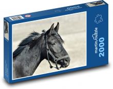 Na čiernom koni! Puzzle 2000 dielikov - 90 x 60 cm