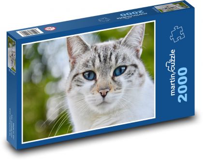 Kočka - puzzle 2000 dílků