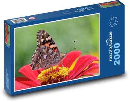 Motýľ na kvete - Puzzle 2000 dielikov, rozmer 90x60 cm 