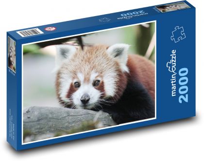 panda červená - Puzzle 2000 dielikov, rozmer 90x60 cm 