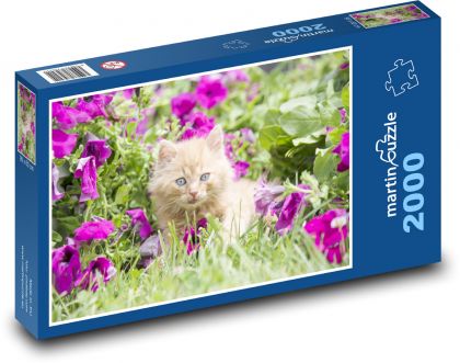 Kot - kotek - Puzzle 2000 elementów, rozmiar 90x60 cm