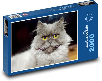 Kočka - kotě - puzzle 2000 dílků