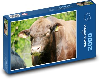 Kráva - puzzle 2000 dílků