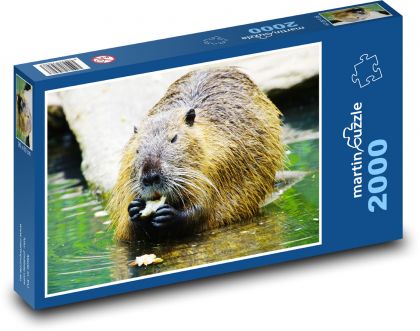 Nutrie - Puzzle 2000 dielikov, rozmer 90x60 cm 
