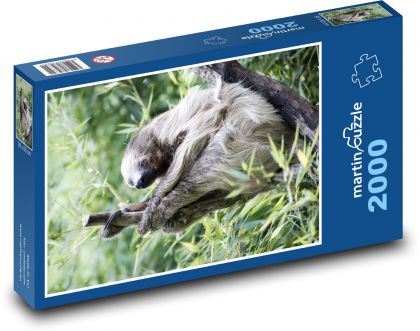 Lenochod - puzzle 2000 dílků