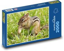 Wiewiórka - orzeszek ziemny Puzzle 2000 elementów - 90x60 cm