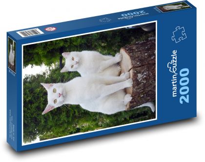 White cats - Puzzle 2000 pieces, size 90x60 cm 