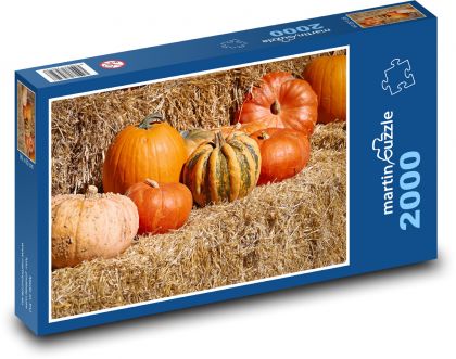 Jeseň - tekvica - Puzzle 2000 dielikov, rozmer 90x60 cm 
