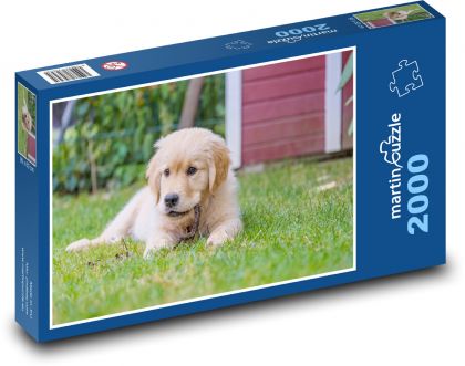 Golden Retriever - Puppy - Puzzle 2000 pieces, size 90x60 cm 