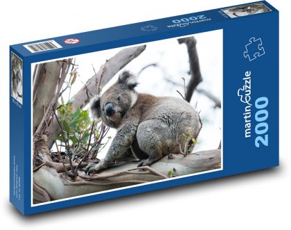 Koala - Puzzle 2000 dielikov, rozmer 90x60 cm 