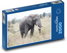 Afrika - slon Puzzle 2000 dielikov - 90 x 60 cm