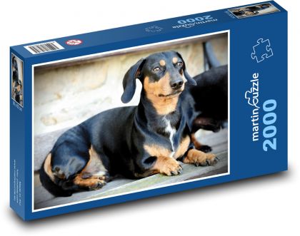 Hund - Dackel - Puzzle - 2000 Teile
