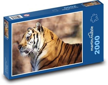 Tiger je veľká mačka - Puzzle 2000 dielikov, rozmer 90x60 cm 