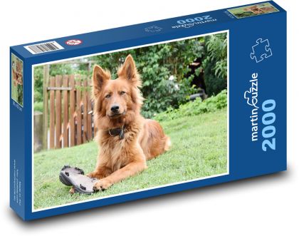 Hund - Harzer Fuchs - Puzzle - 2000 Teile