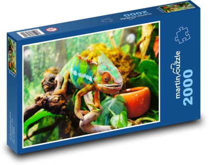 Chameleón - puzzle 2000 dílků