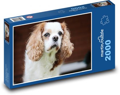 Pes - King Charles Spaniel - Puzzle 2000 dielikov, rozmer 90x60 cm 