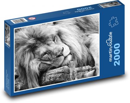 Lew - dziki kot - Puzzle 2000 elementów, rozmiar 90x60 cm