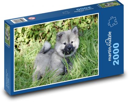 Eurasier - Hund - Puzzle - 2000 Teile