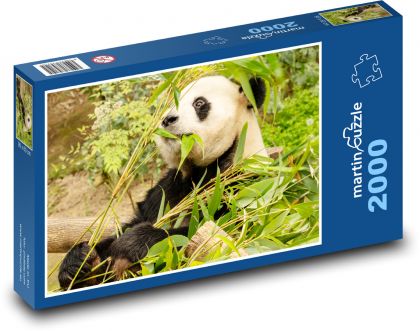 Panda - bear - Puzzle 2000 pieces, size 90x60 cm 