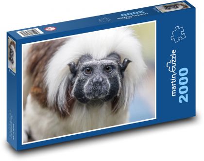 Małpa - Tamarin - Puzzle 2000 elementów, rozmiar 90x60 cm