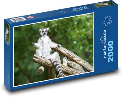 Opice - lemur - puzzle 2000 dílků