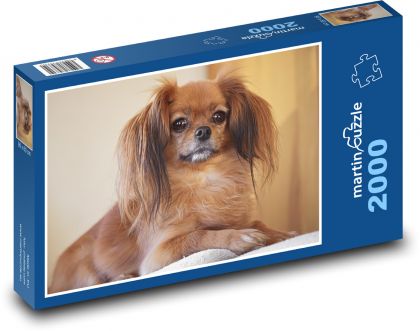 Dog - Pet - Puzzle 2000 pieces, size 90x60 cm 